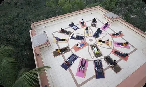 Rooftop herbal garden